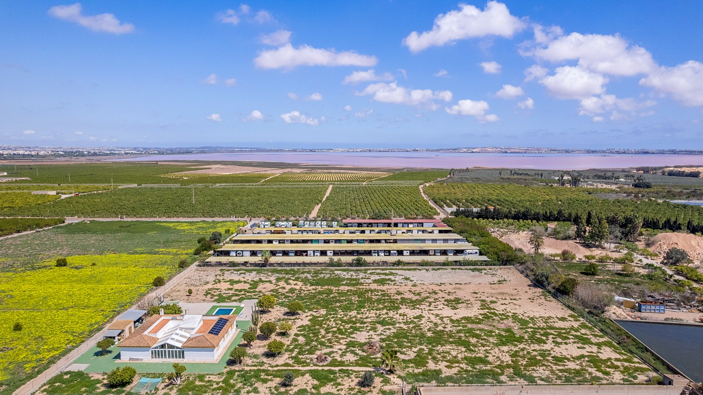 Garden in villa for sale in Los Montesinos
