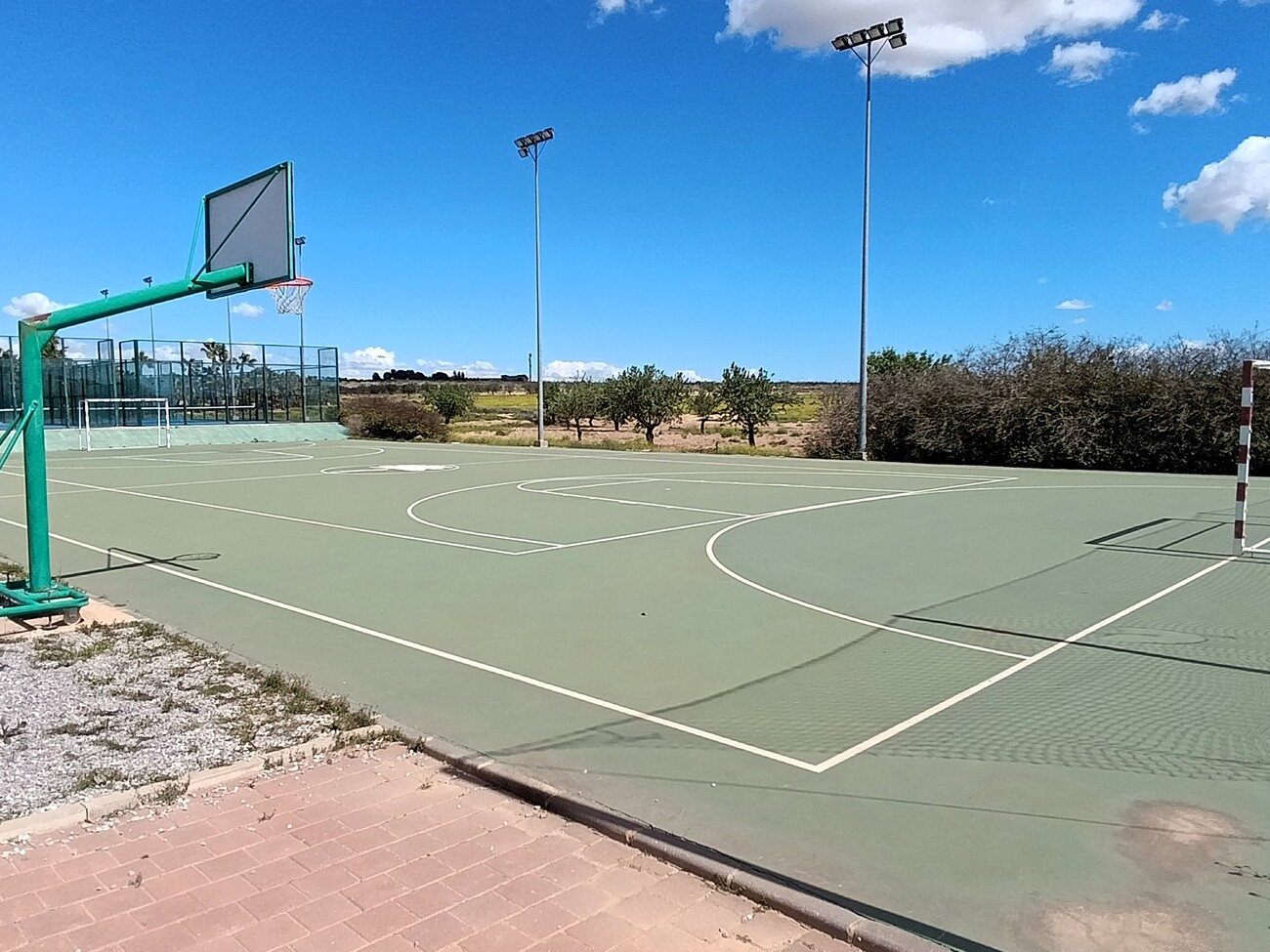 Garden in finca for sale in Fuente Alamo
