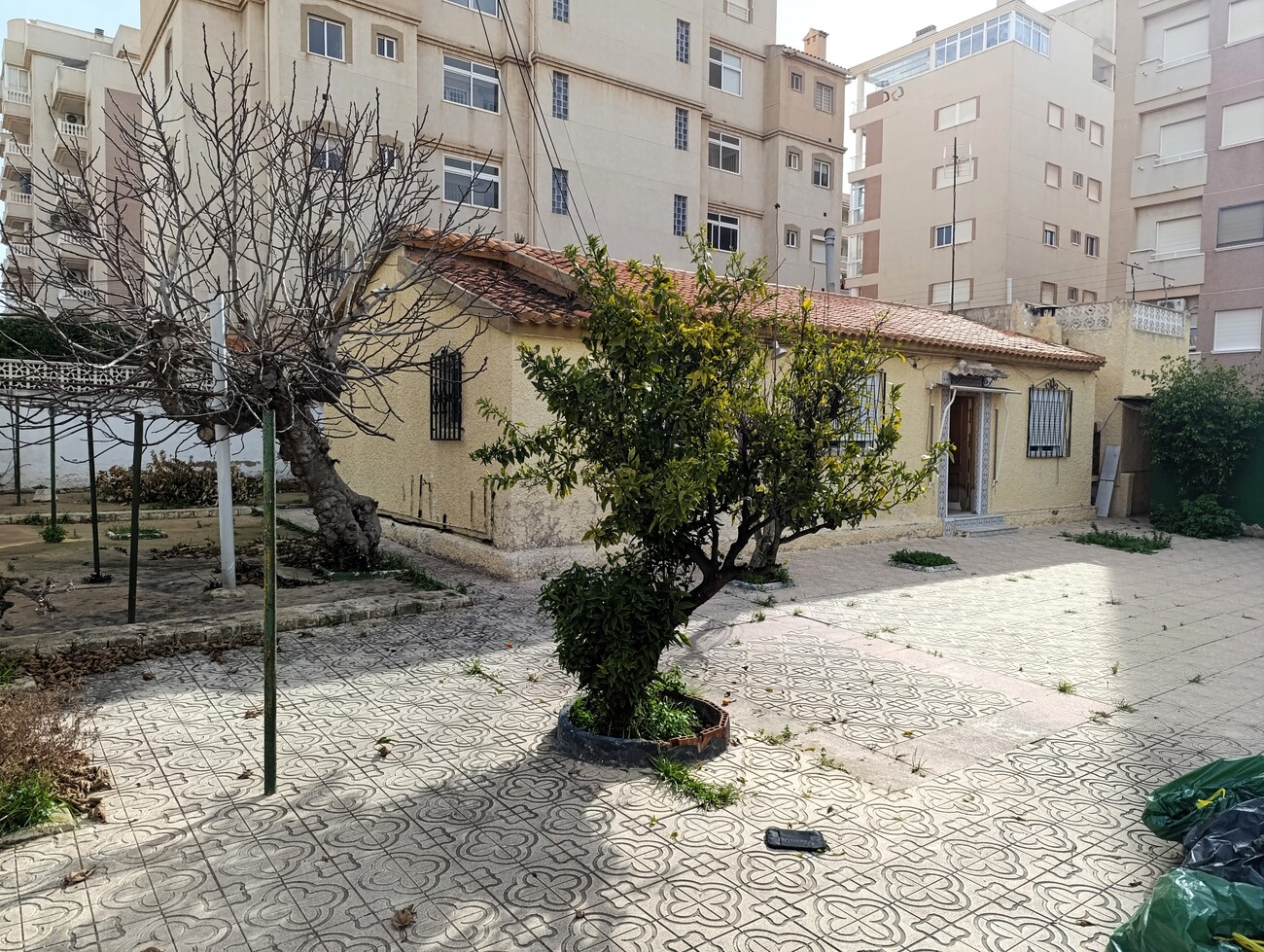 Urban plot in Torrevieja