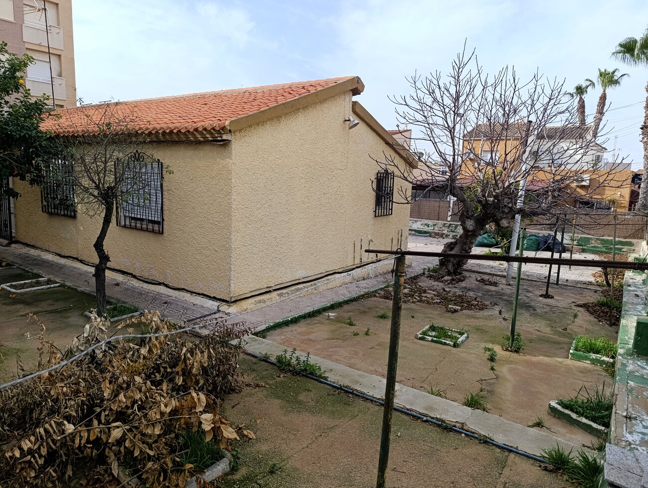 Terrace in finca for sale in Torrevieja