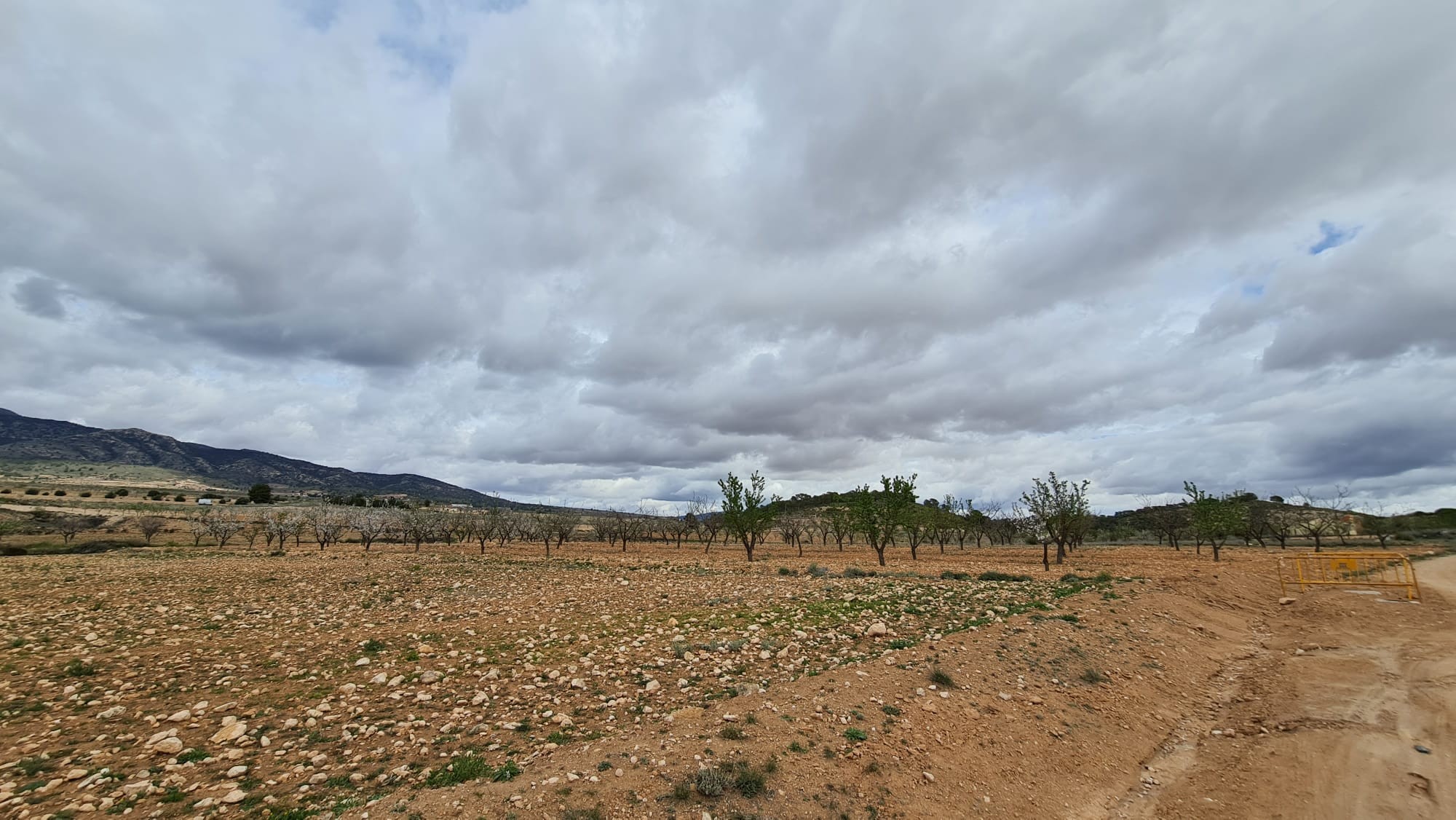 Pool area in land for sale in Torre Del Rico