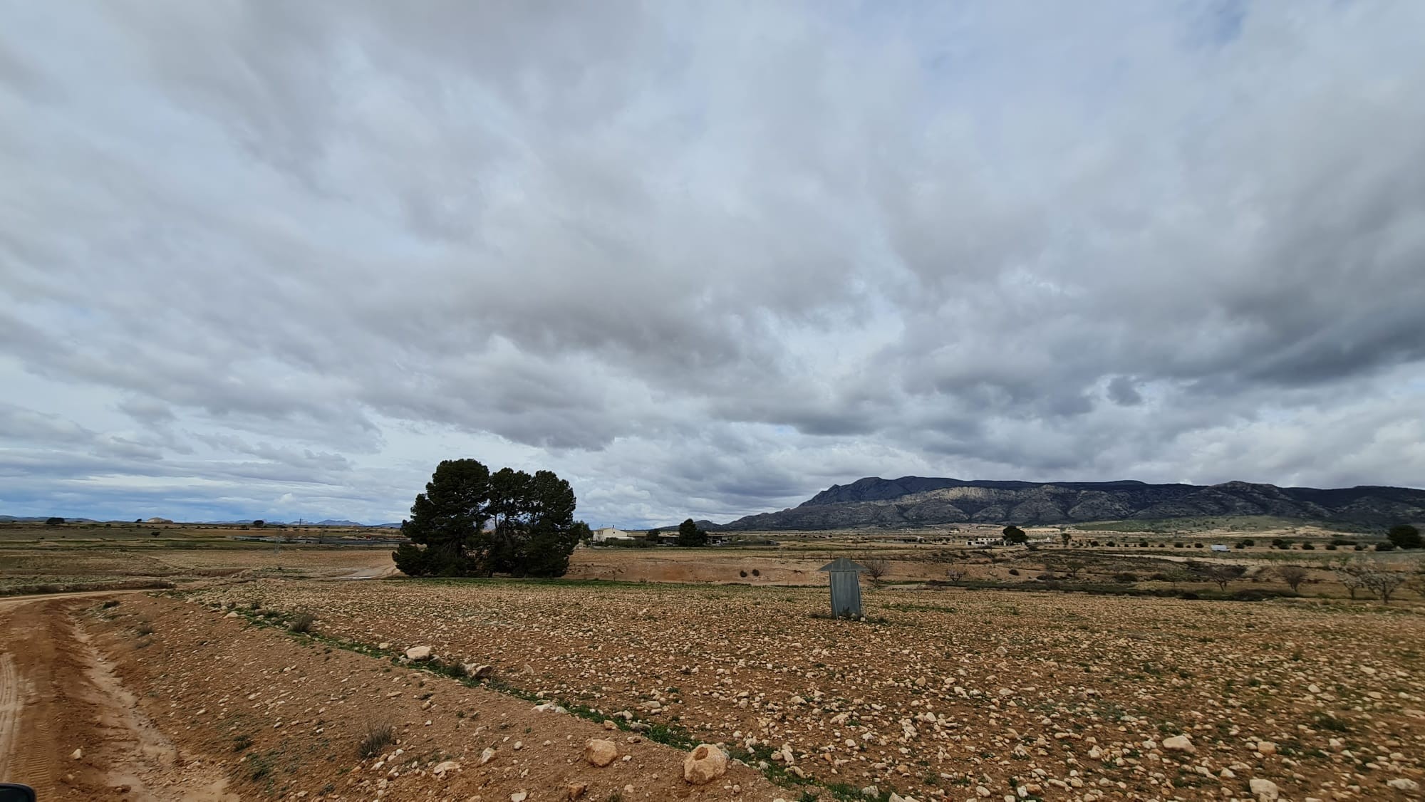 Garden in land for sale in Torre Del Rico