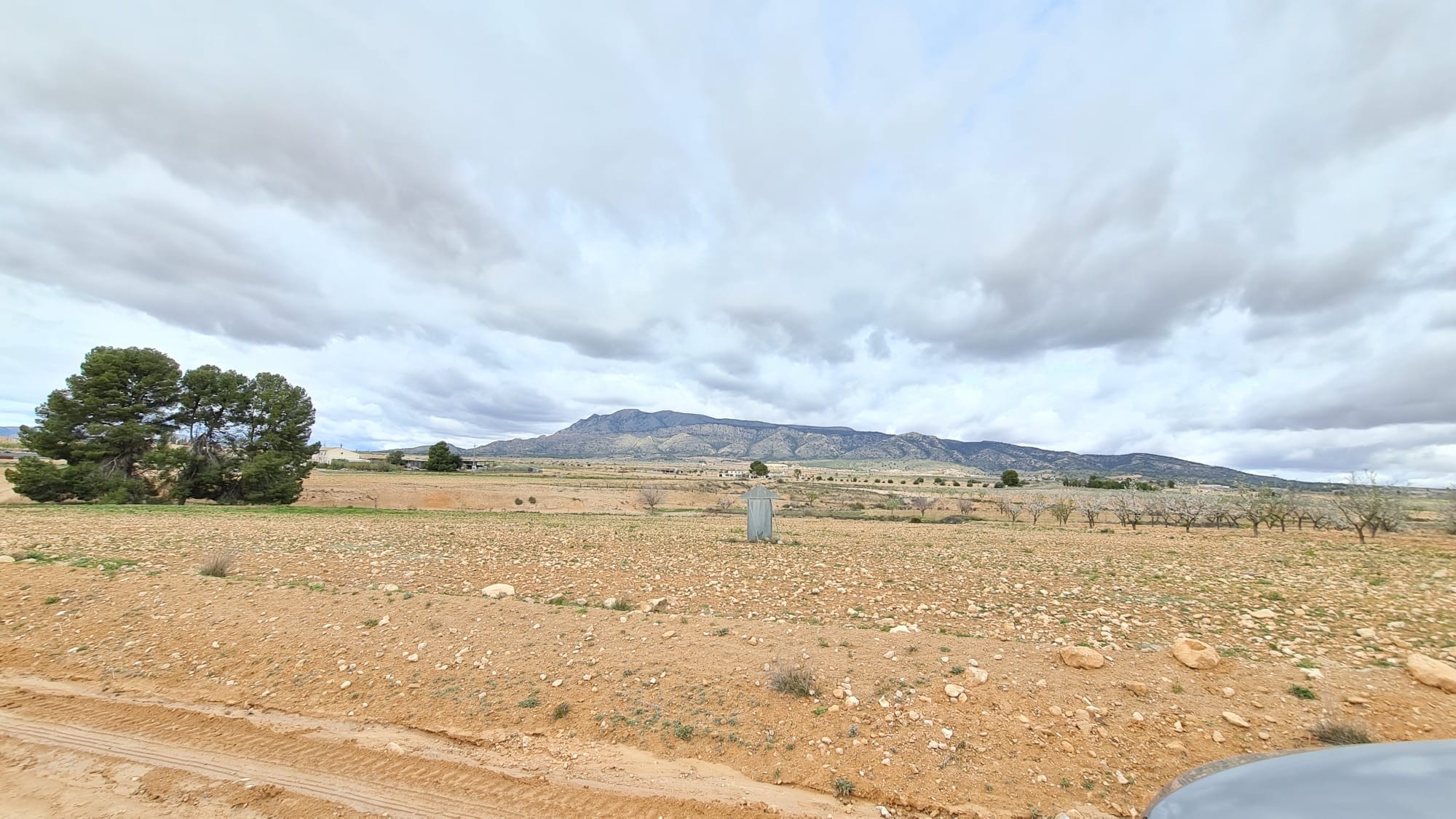 Garden in villa for sale in Torre Del Rico
