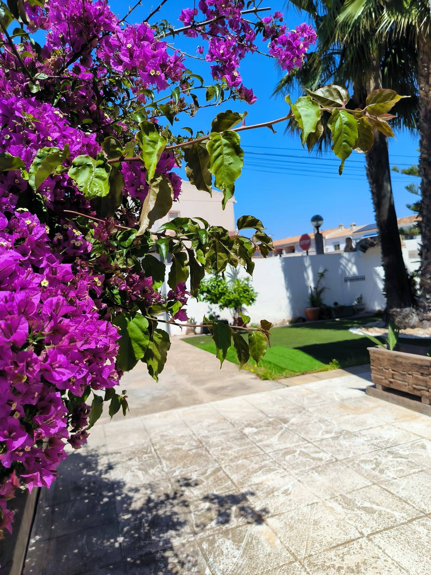 Garden in terraced for sale in Orihuela Costa