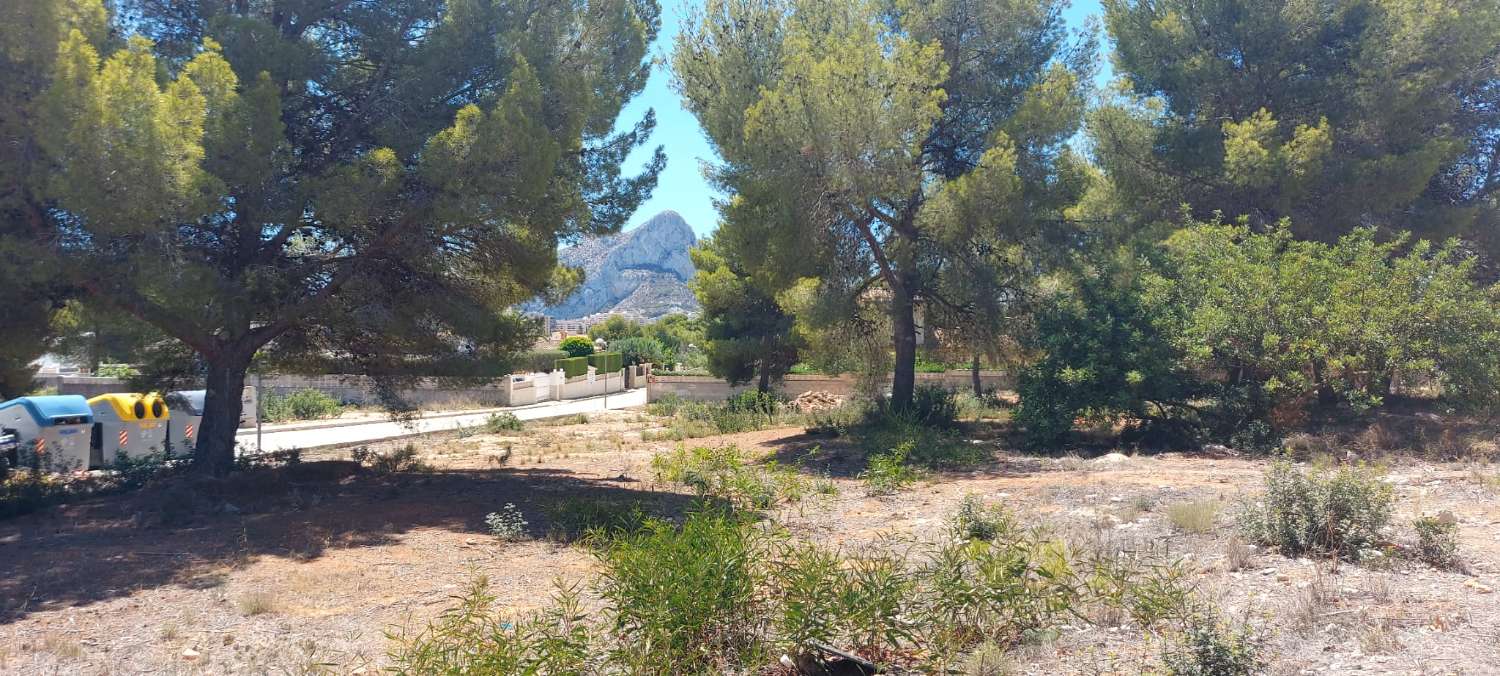Terrace in land for sale in Calpe