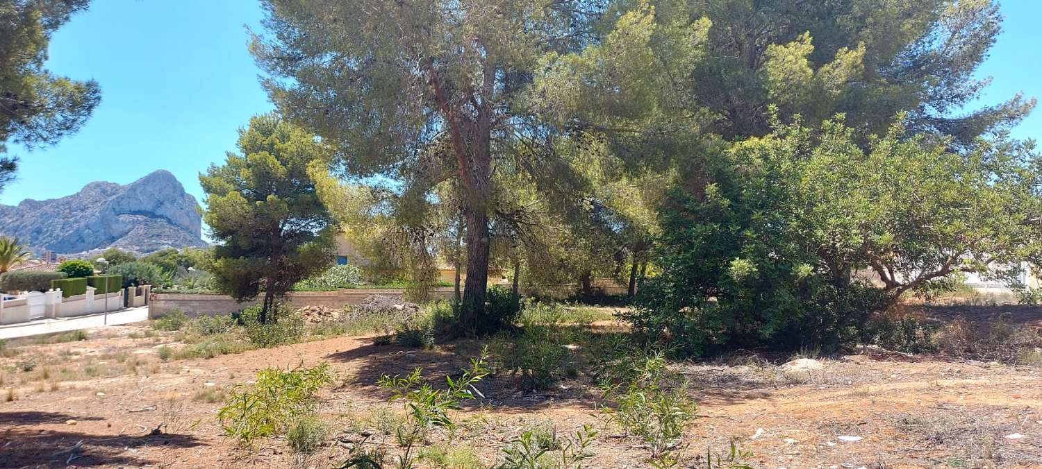 Pool area in land for sale in Calpe