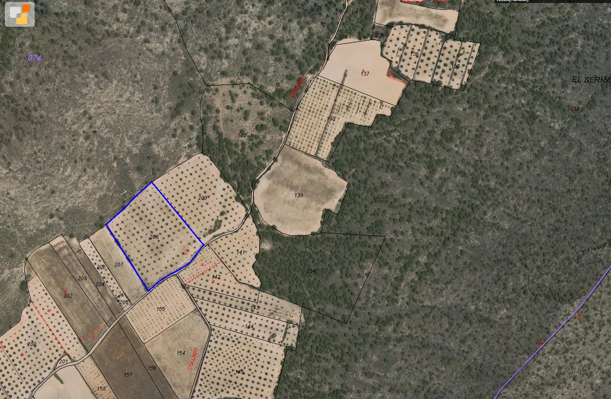 Terrace in land for sale in Yecla