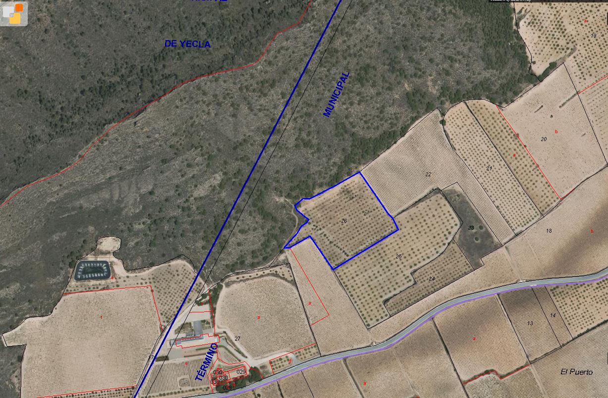 Garden in land for sale in Villena