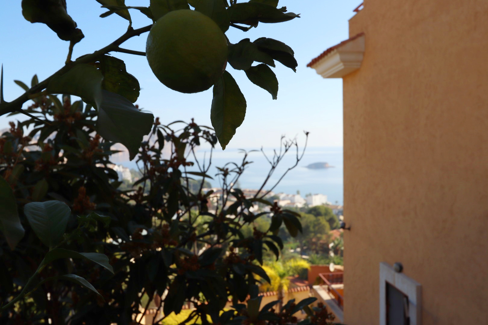 Garden in villa for sale in Altea