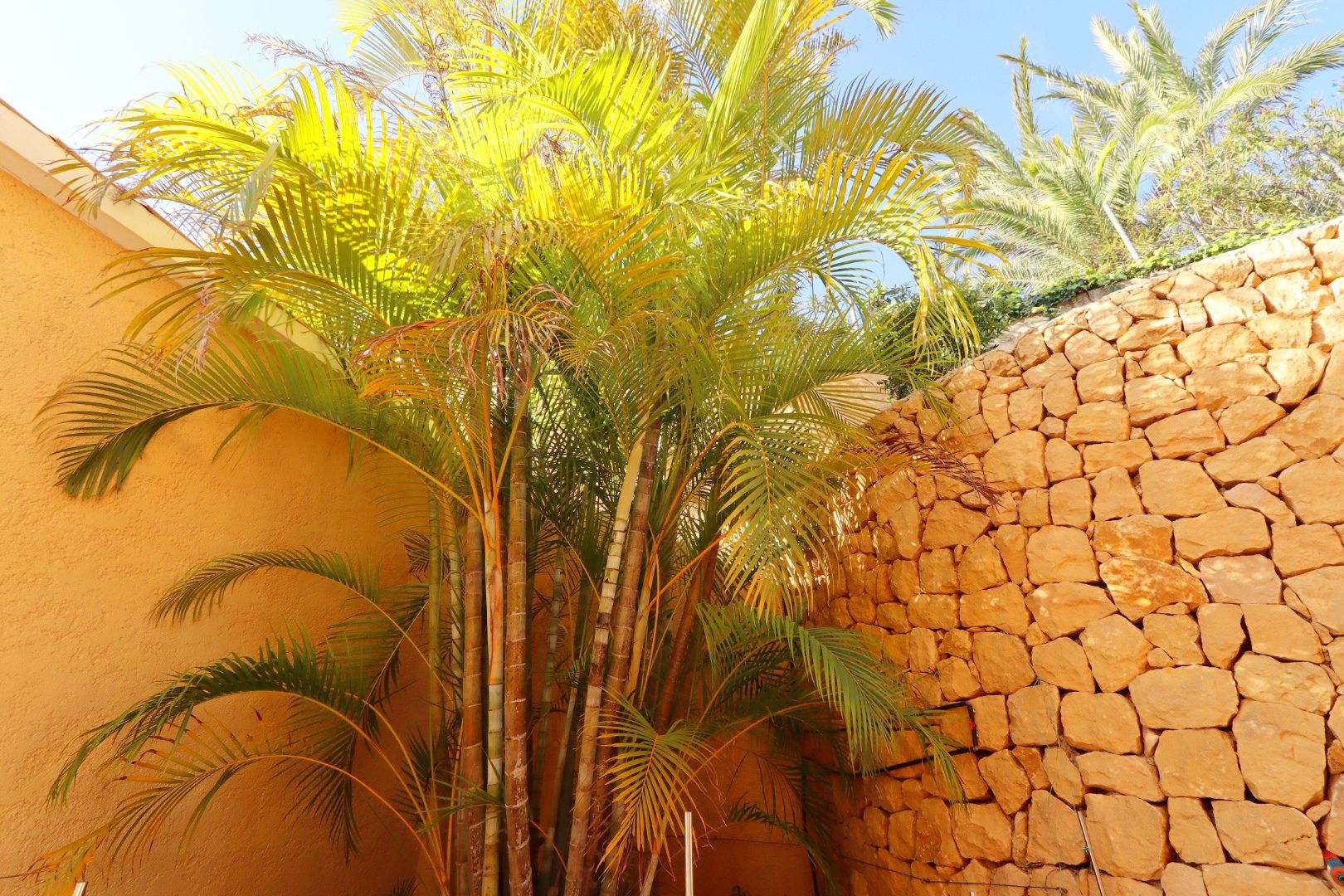 Exterior view in villa for sale in Altea