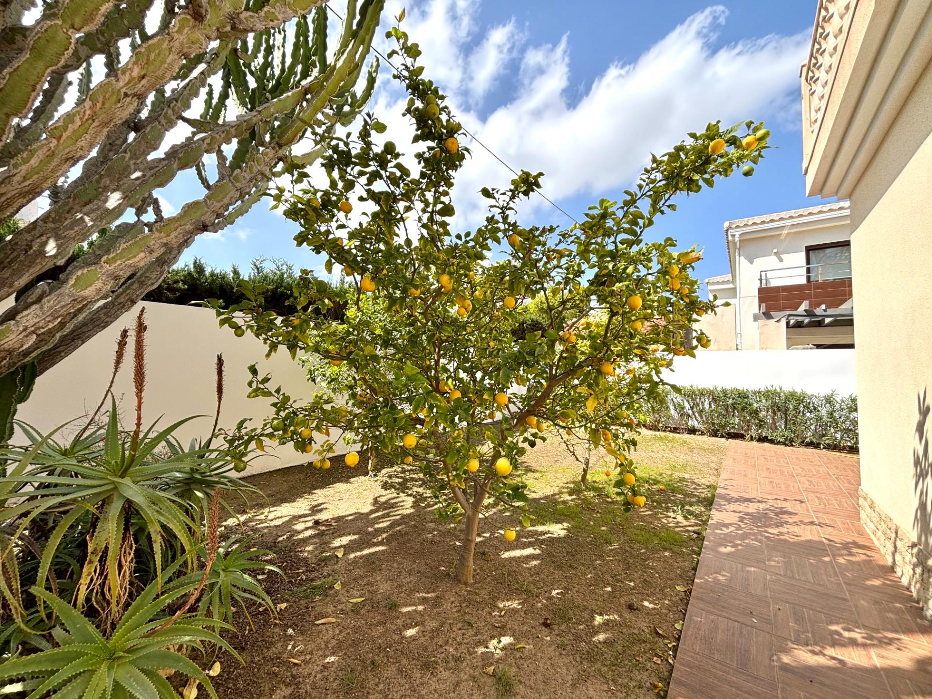 Pool area in villa for sale in Cabo Roig