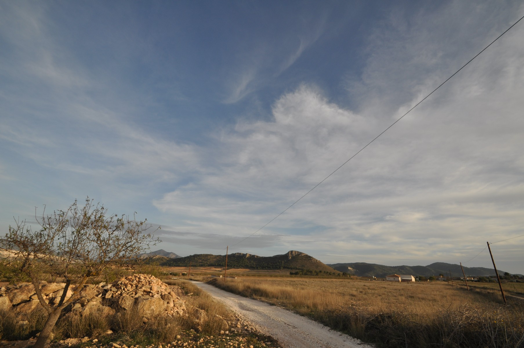 Terrace in land for sale in Abanilla