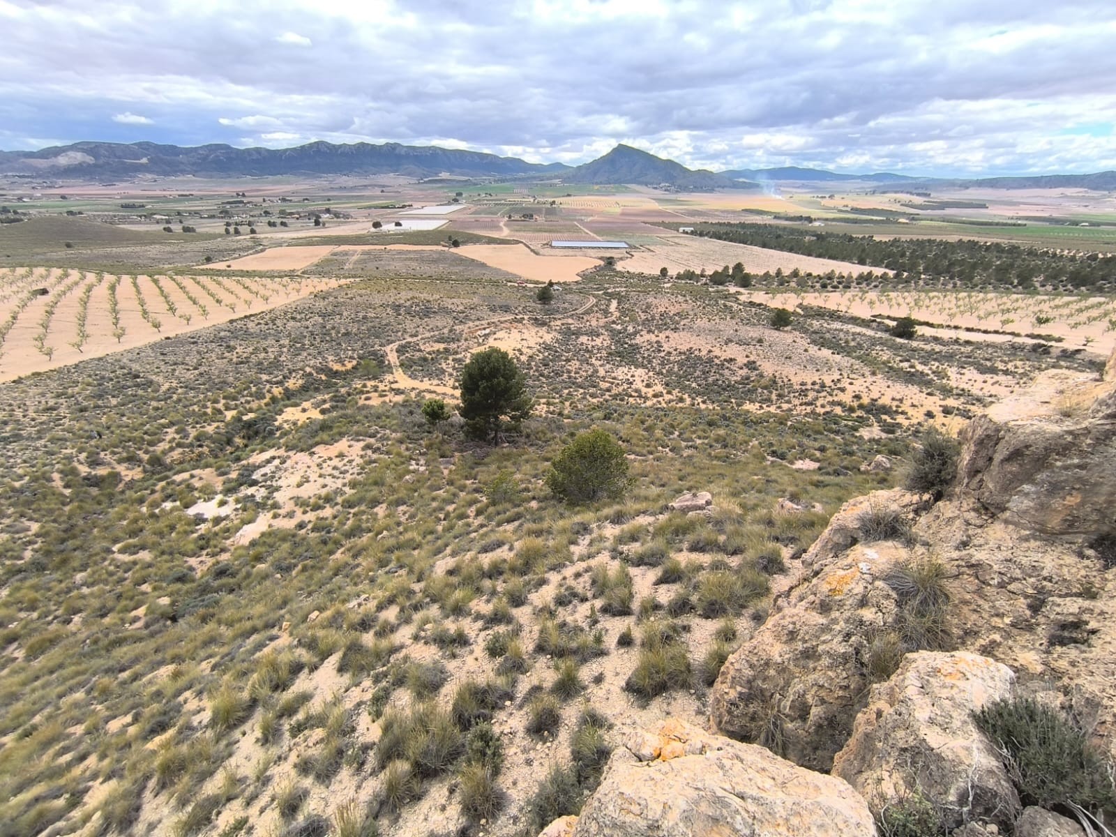 For sale: Land spanning a vast area of 80000 m2
