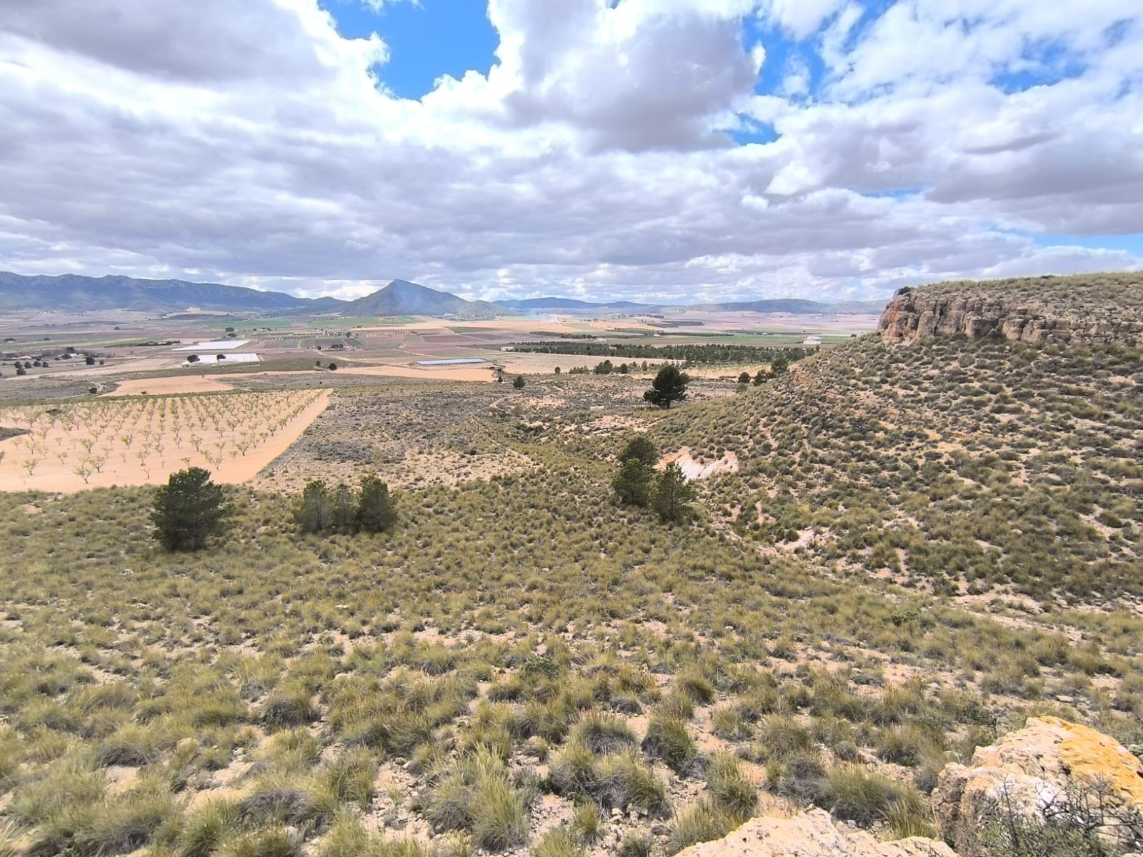 For sale: Land spanning a vast area of 80000 m2