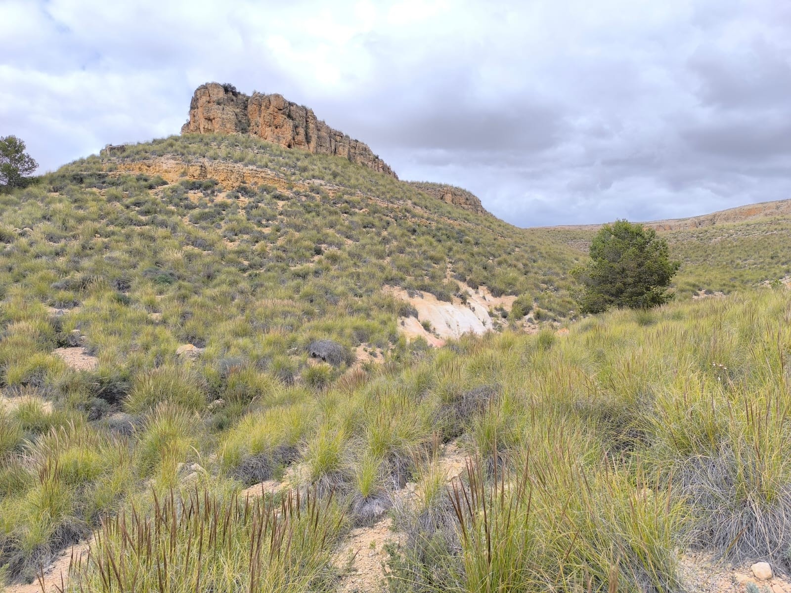 For sale: Land spanning a vast area of 80000 m2