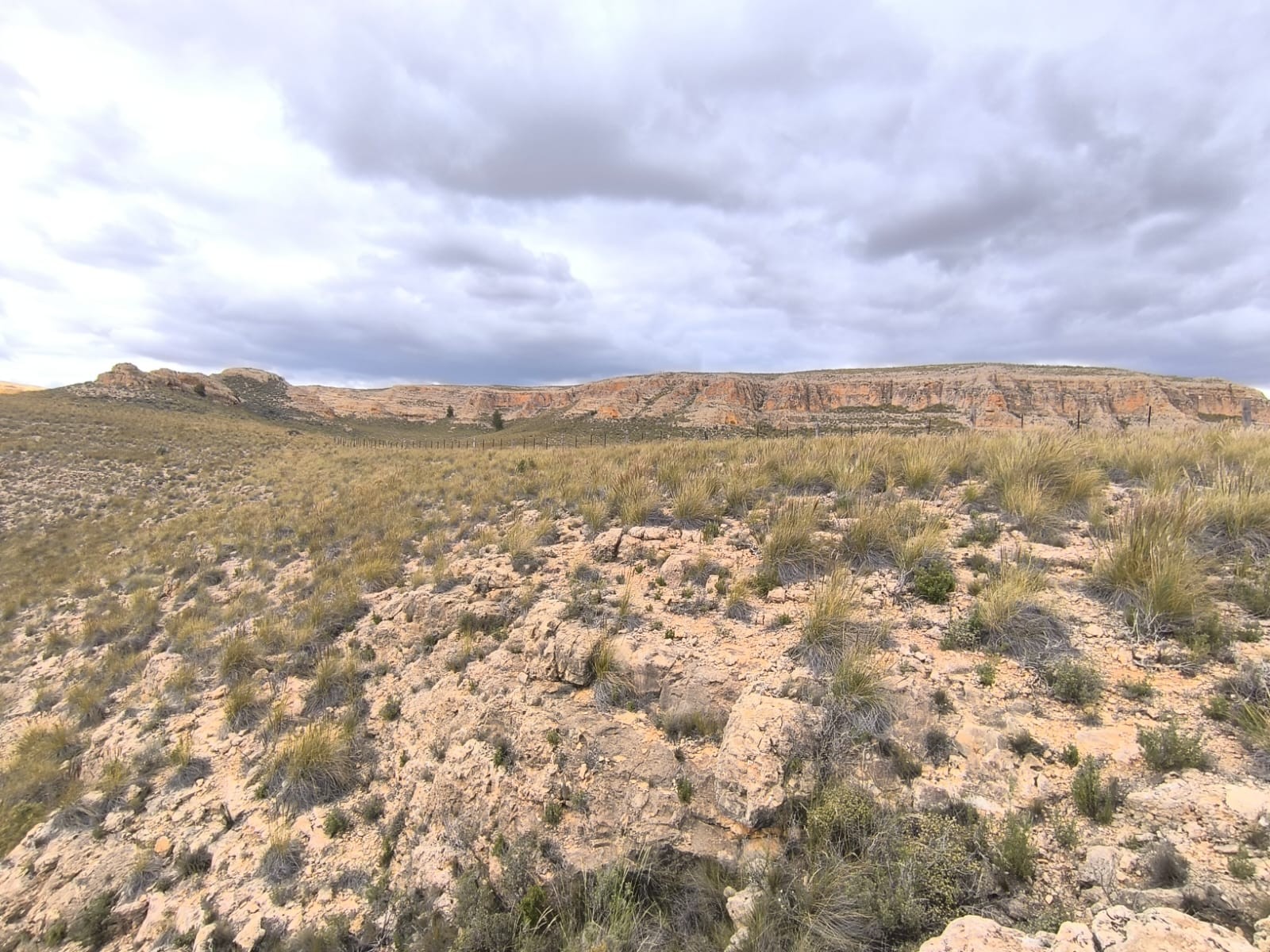 For sale: Land spanning a vast area of 80000 m2