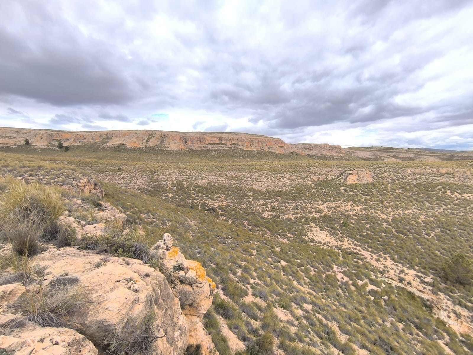 For sale: Land spanning a vast area of 80000 m2