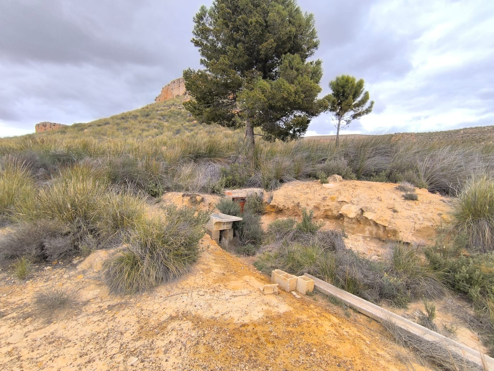 Terrace in land for sale in Yecla