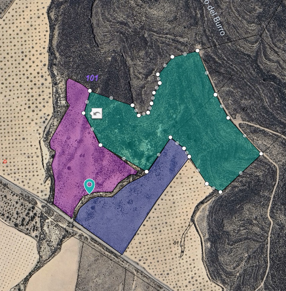 Garden in land for sale in Yecla