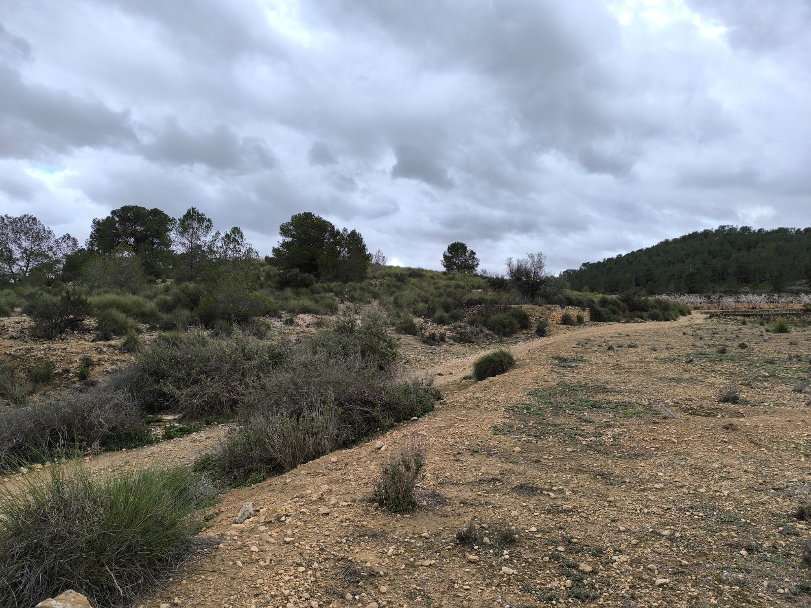 Exterior view in land for sale in Chinorlet