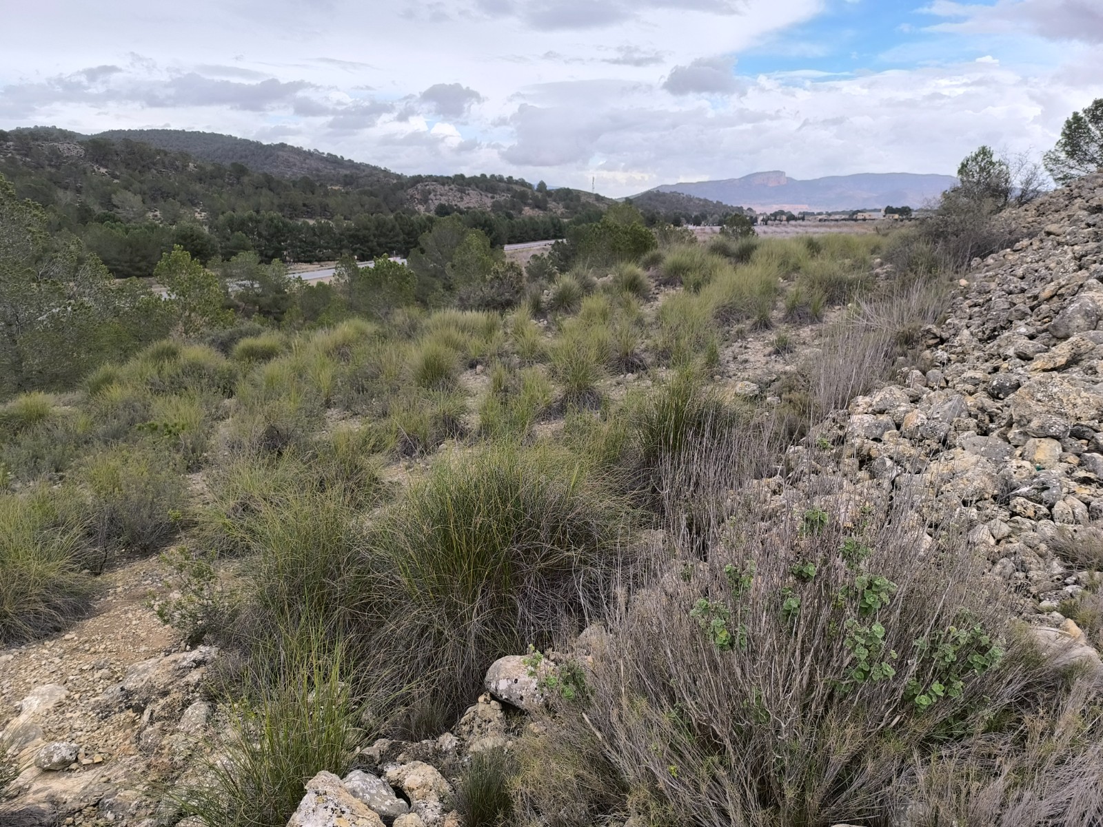 Garden in land for sale in Chinorlet