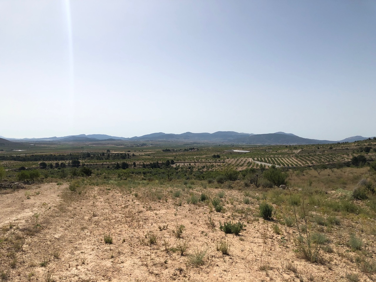 Kitchen in land for sale in Yecla