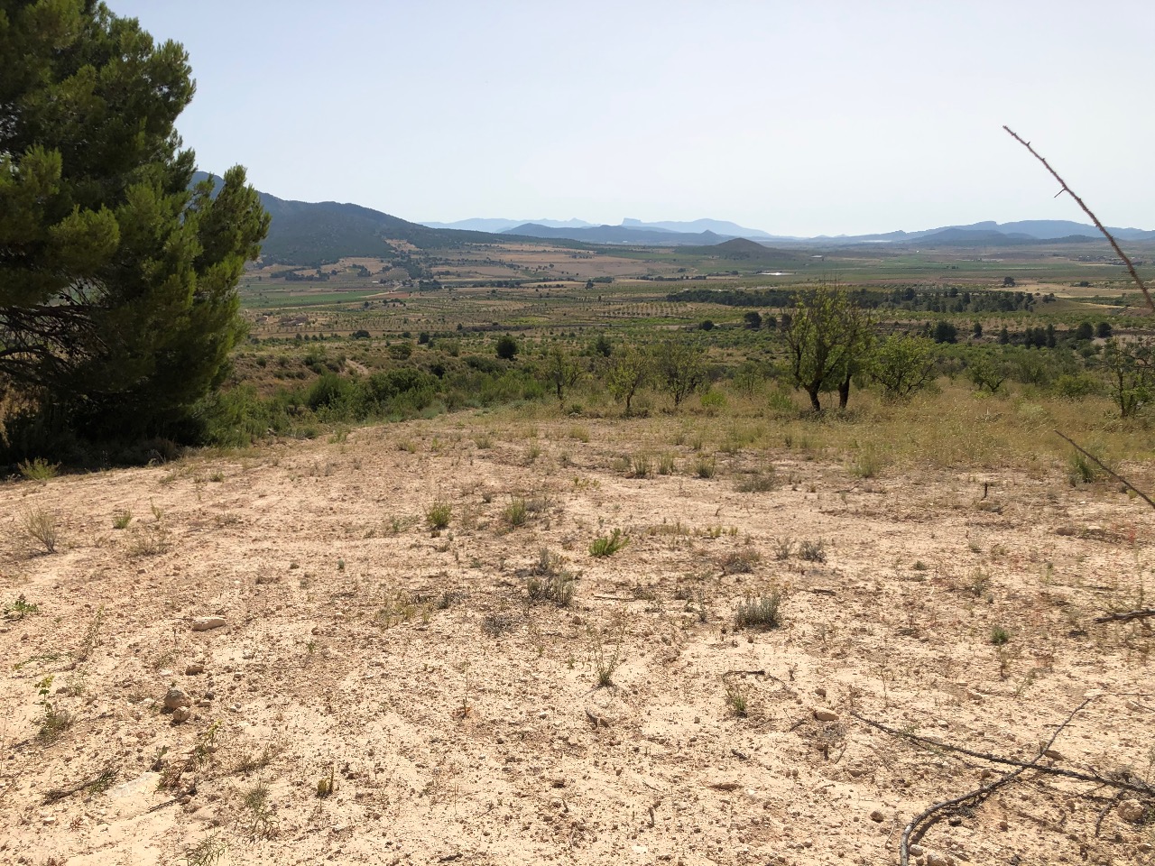 Bathroom in land for sale in Yecla