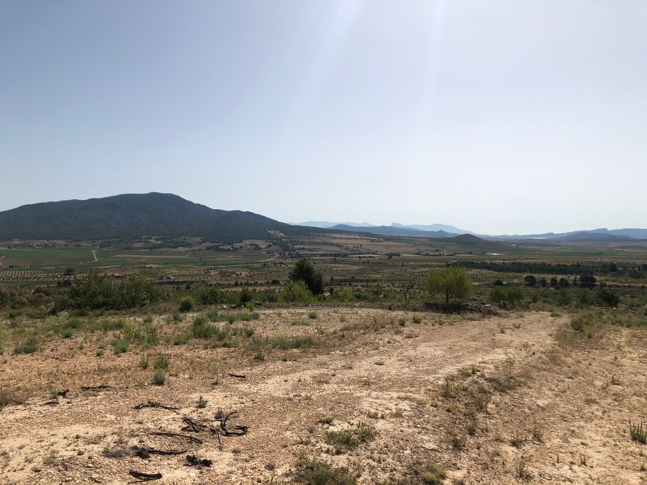 Terrace in land for sale in Yecla