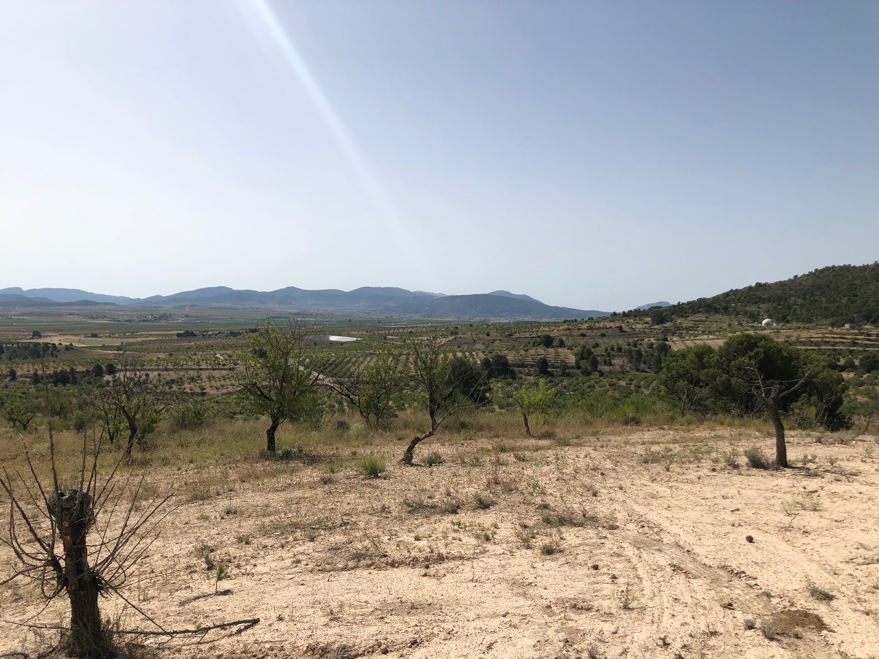 Pool area in land for sale in Yecla