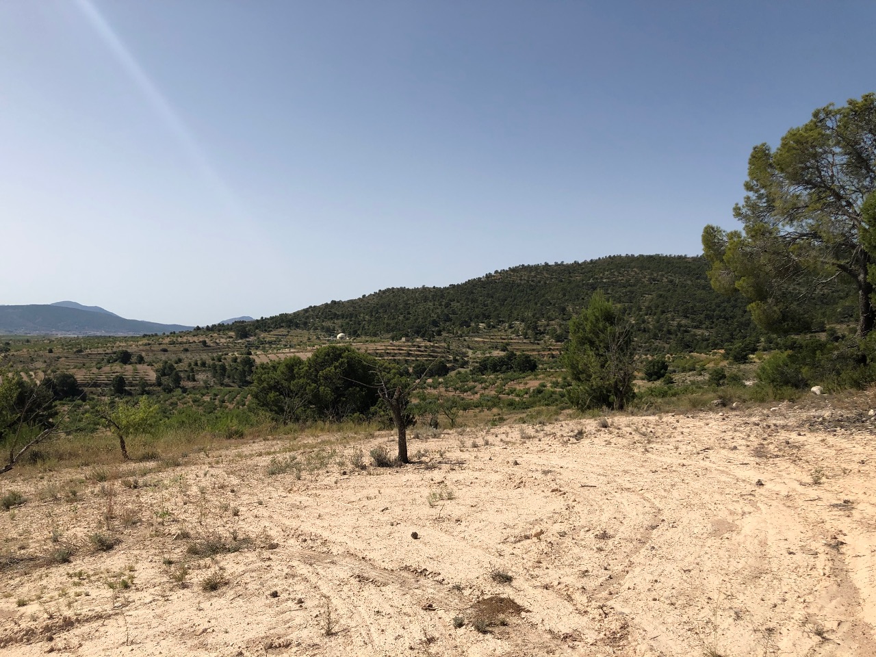 Bedroom in land for sale in Yecla