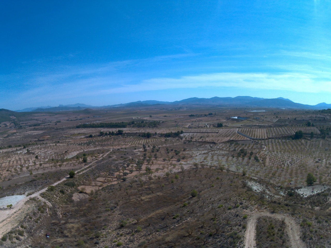 Terrace in land for sale in Yecla