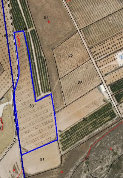 For sale: Almond orchard near Raspay of app