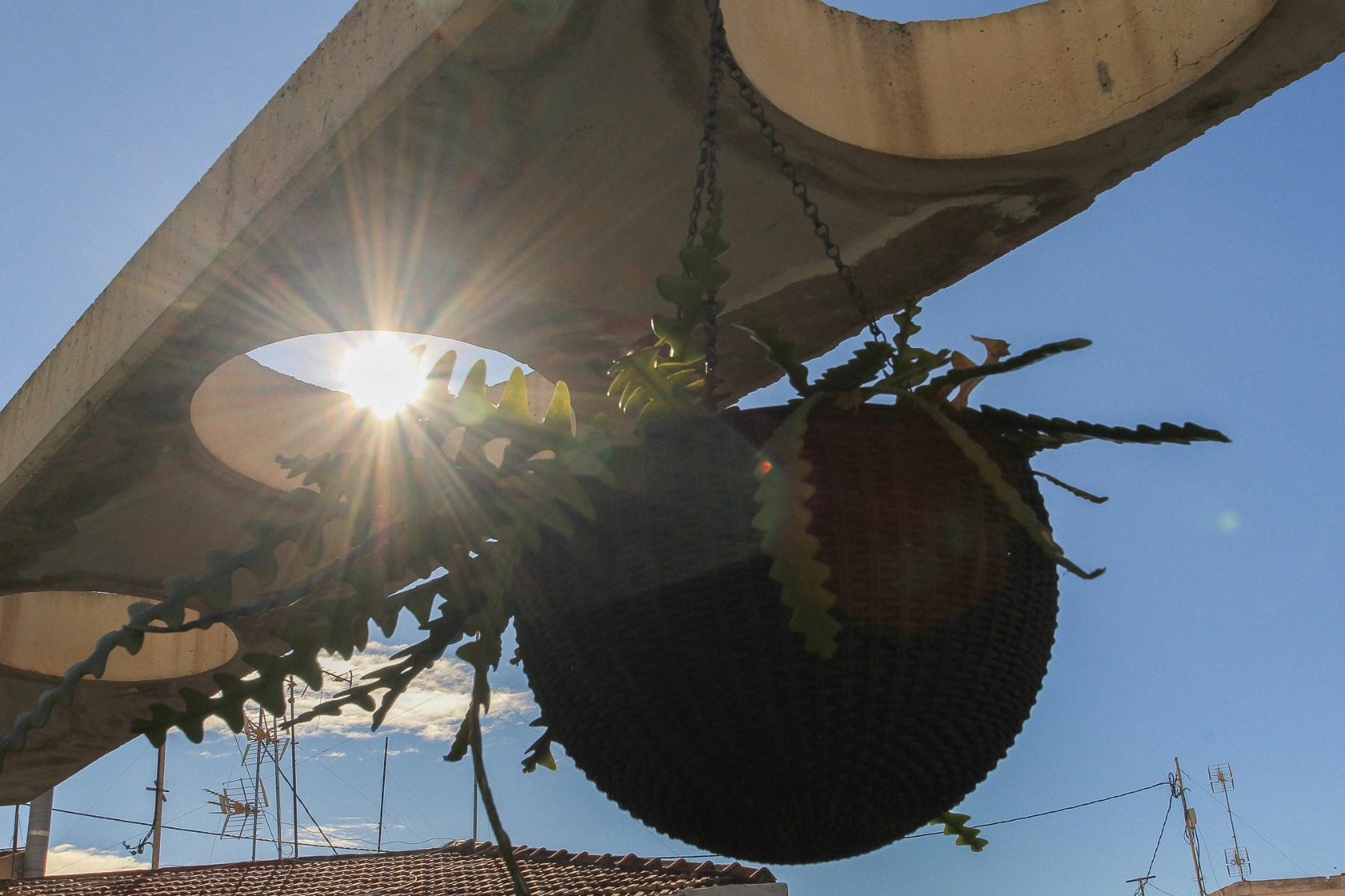Garden in penthouse for sale in Alicante