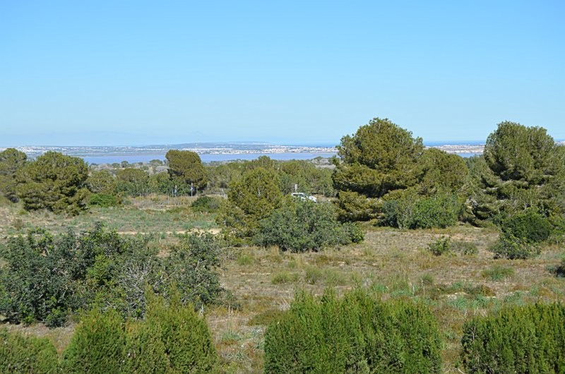 Garden in apartment for sale in Blue Lagoon