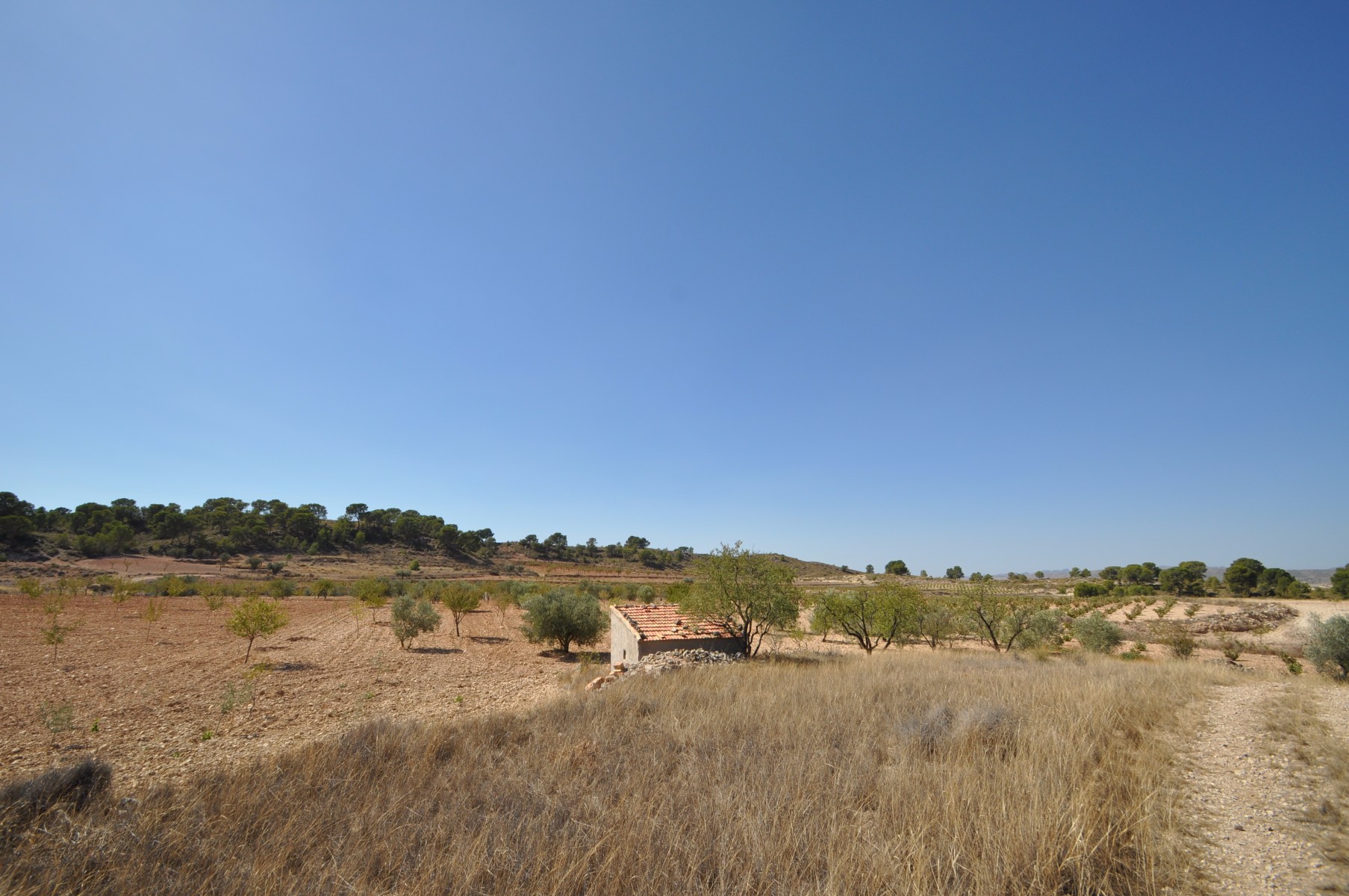 Terrace in land for sale in Torre Del Rico