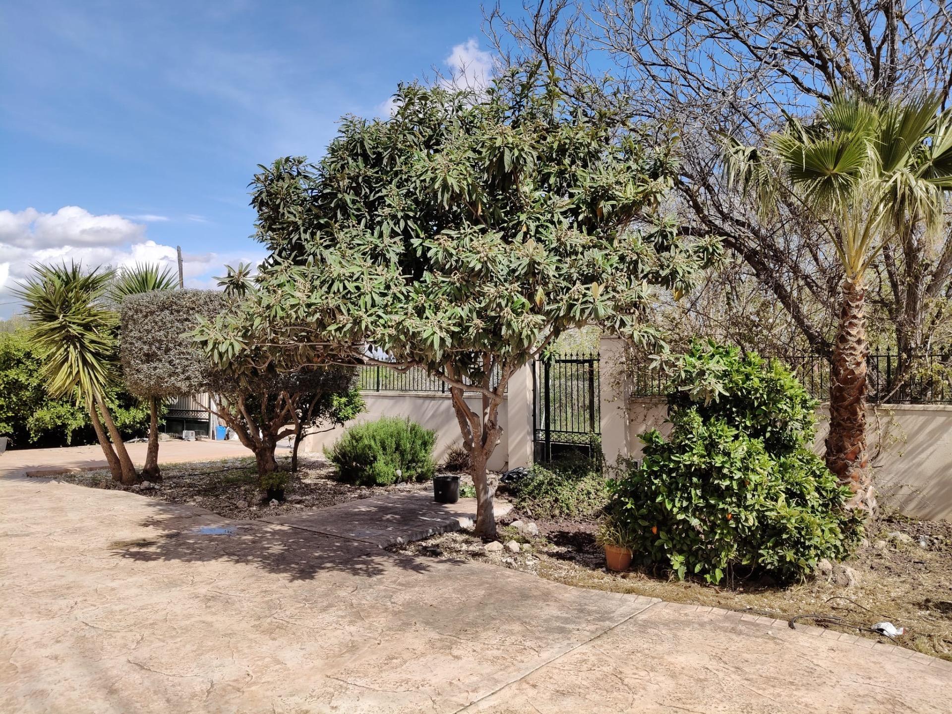Terrace in finca for sale in El Palmar
