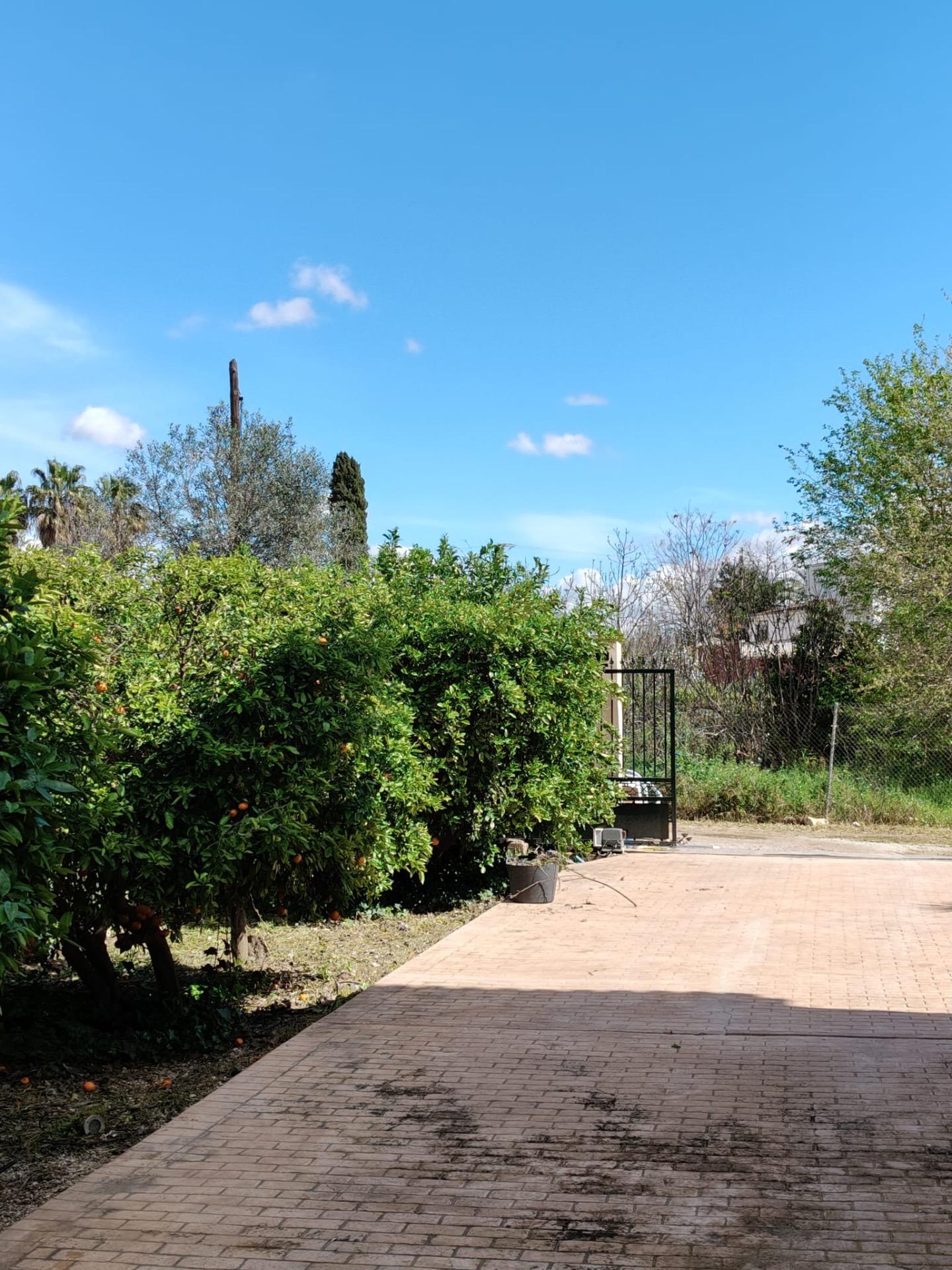 Pool area in finca for sale in El Palmar