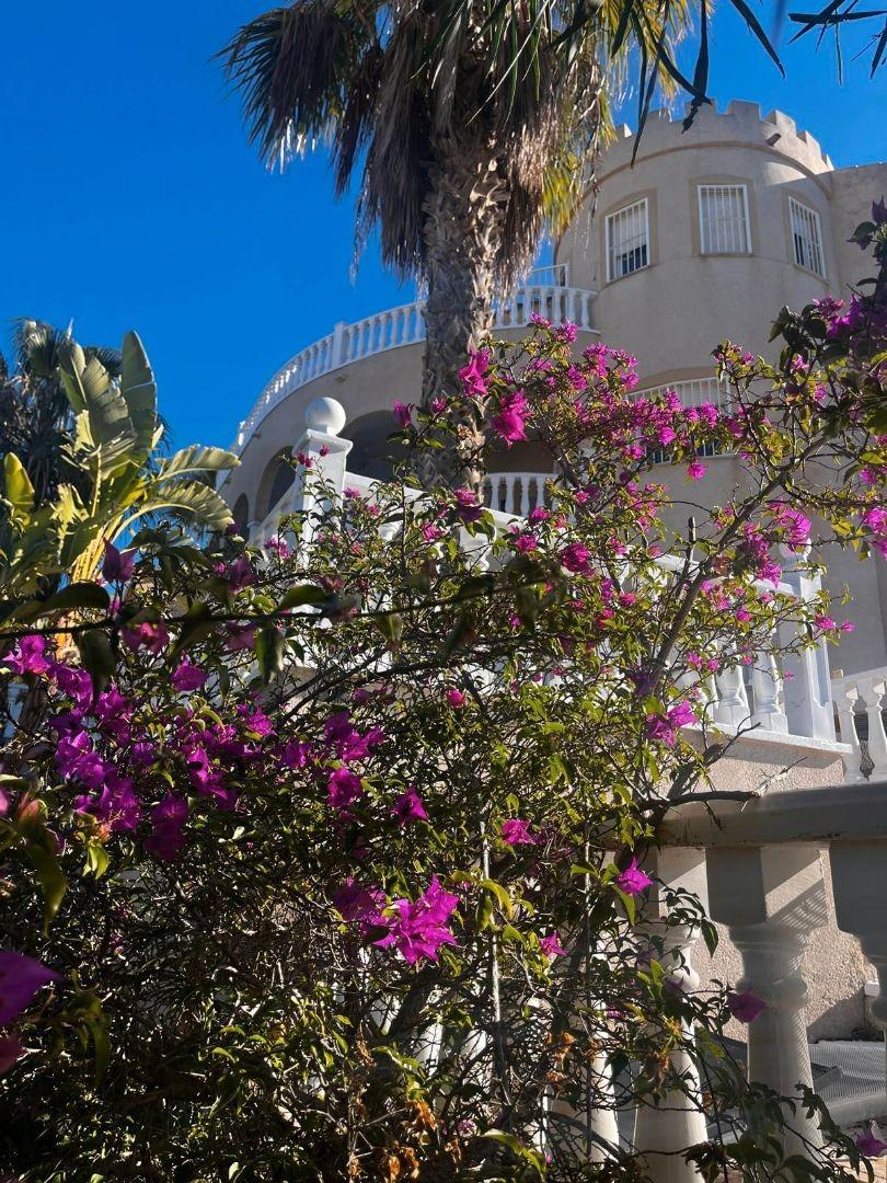 Exterior view in villa for sale in Rojales