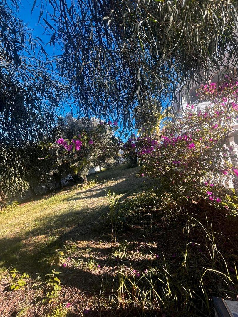 Garden in villa for sale in Rojales