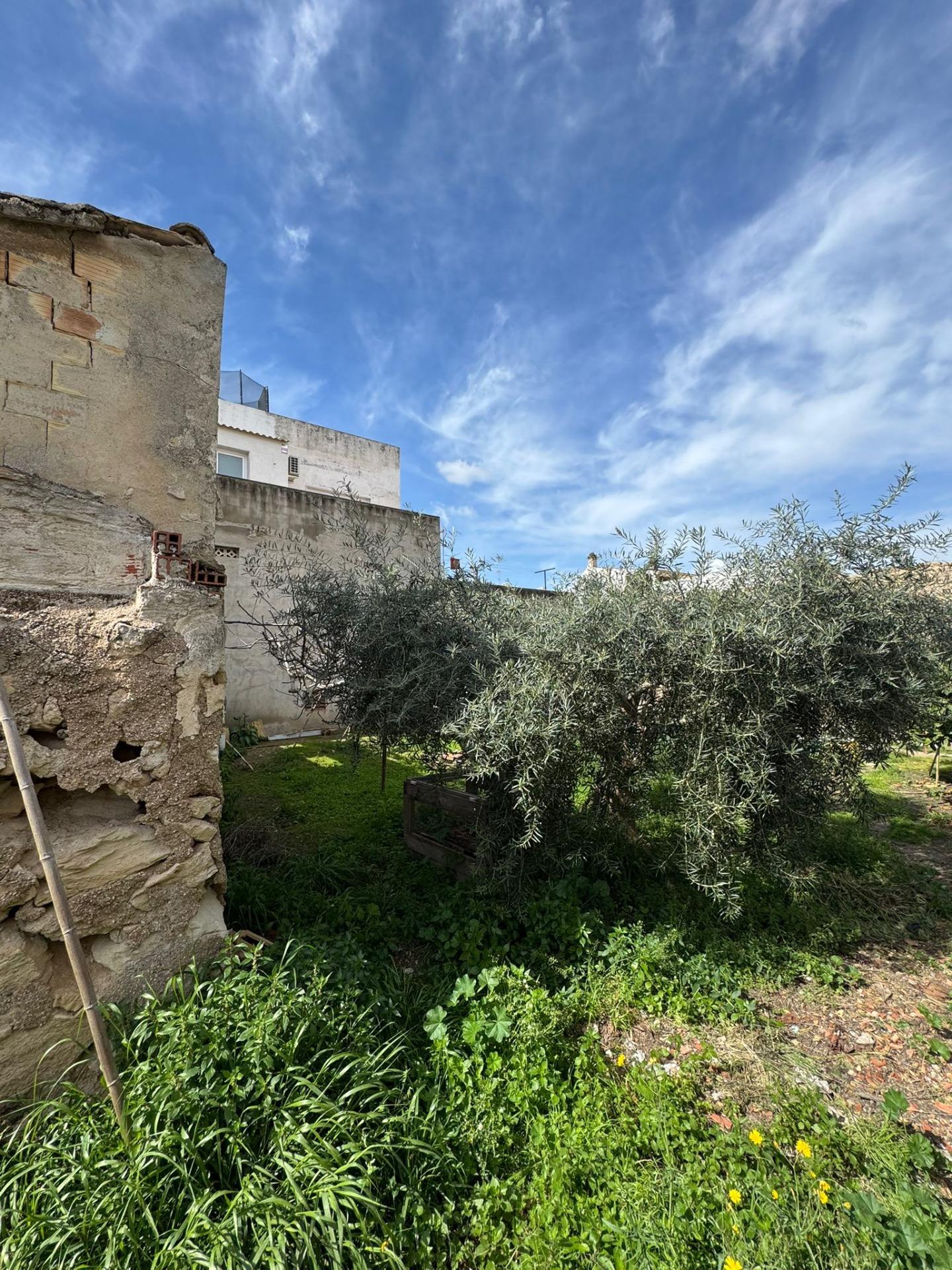Terrace in land for sale in Jacarilla