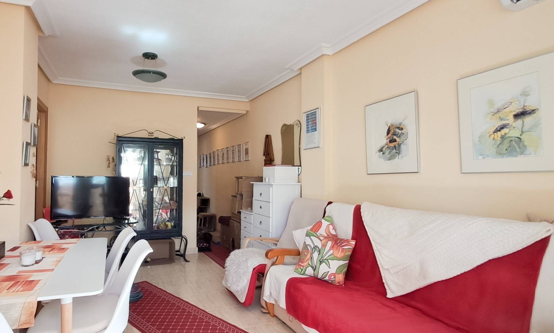 Garden in penthouse for sale in Torrevieja
