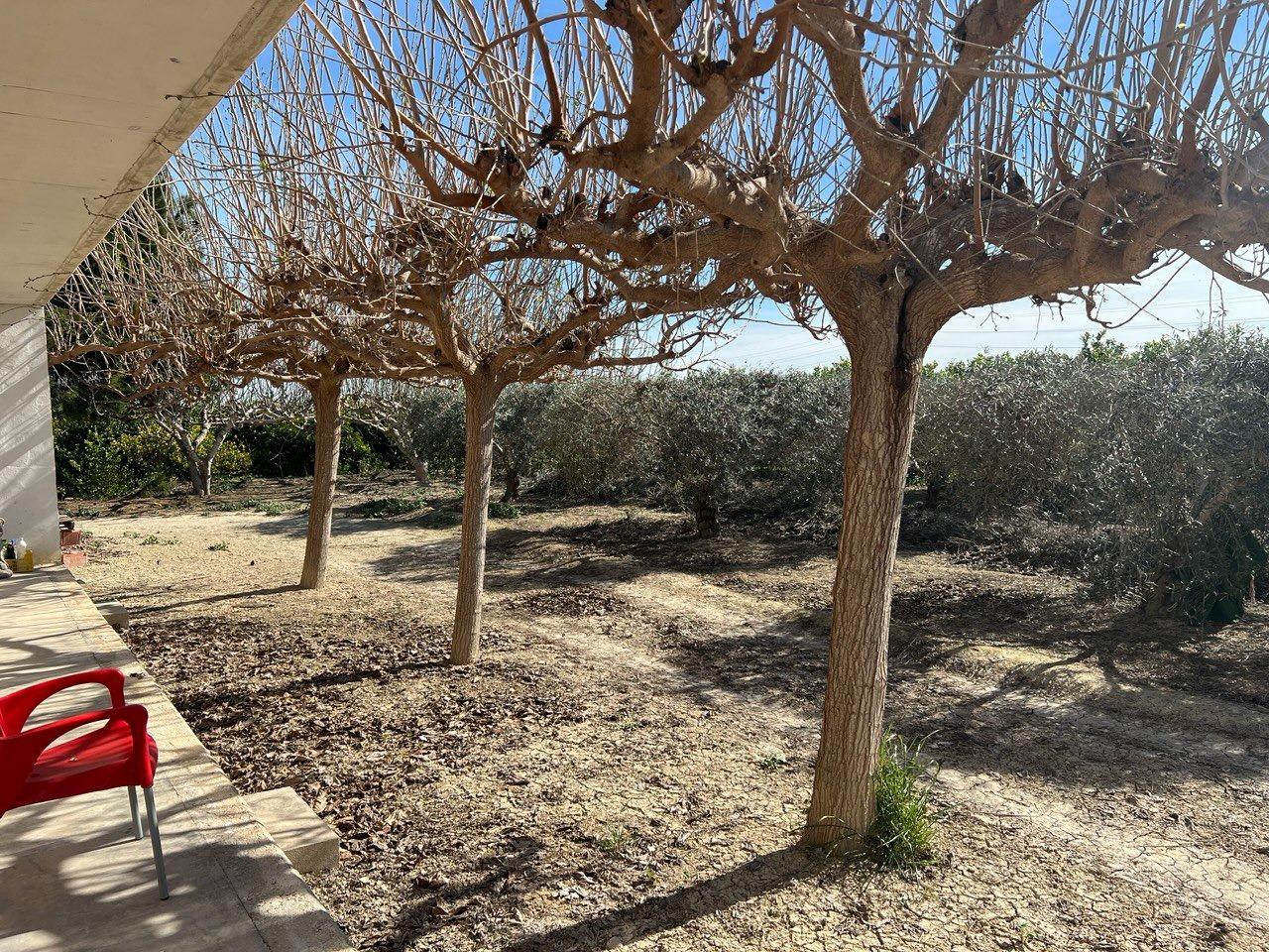 Terrace in finca for sale in Los Montesinos