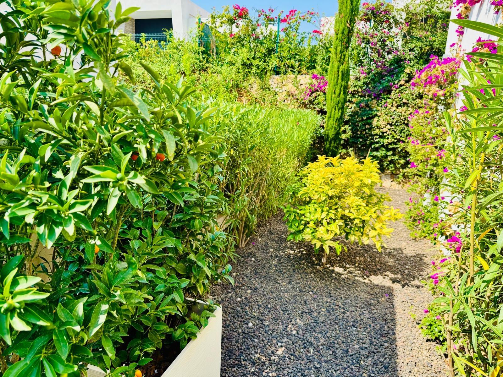 Exterior view in villa for sale in Algorfa