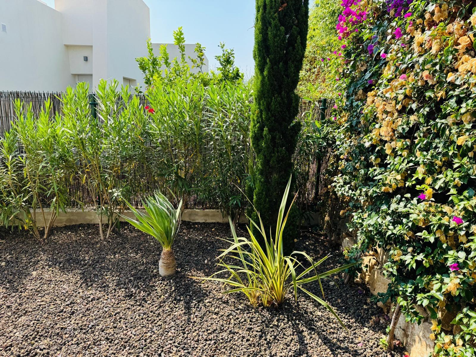 Living room in villa for sale in Algorfa