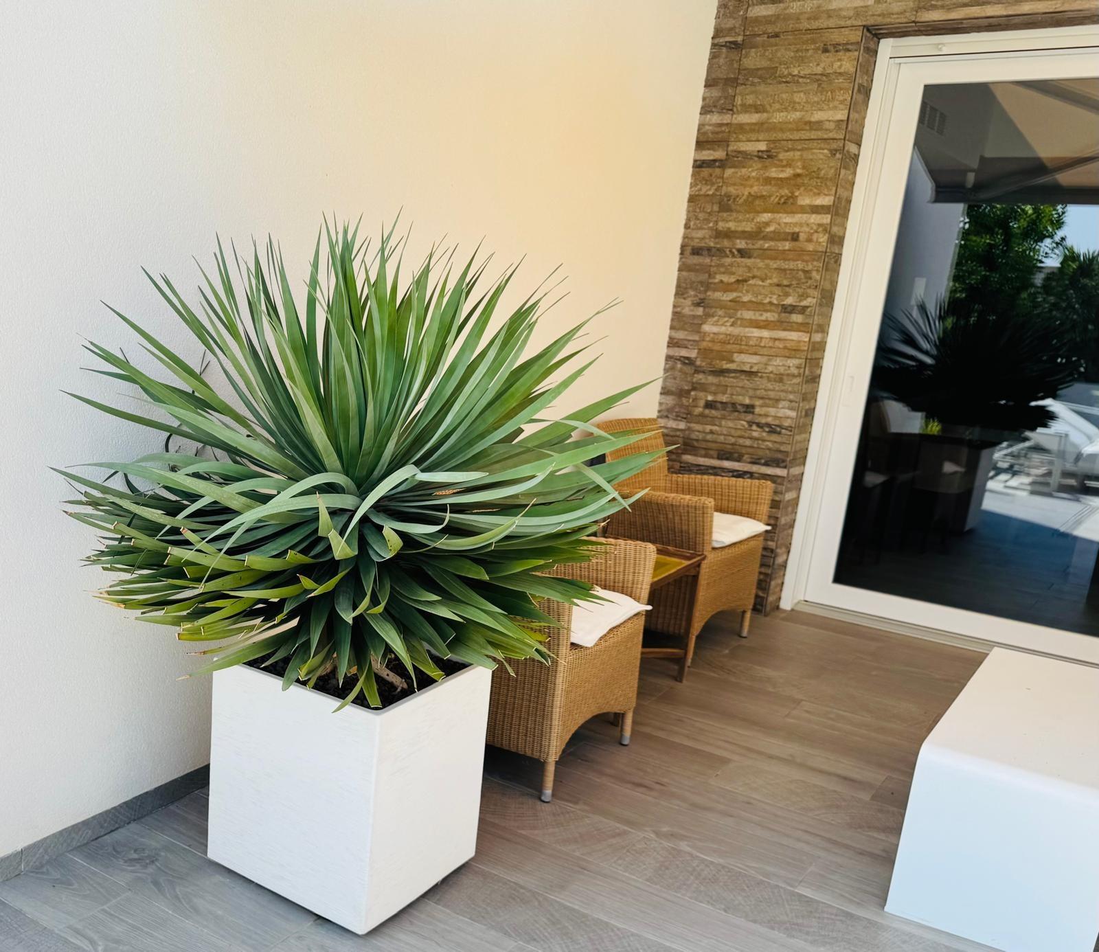 Terrace in villa for sale in Algorfa