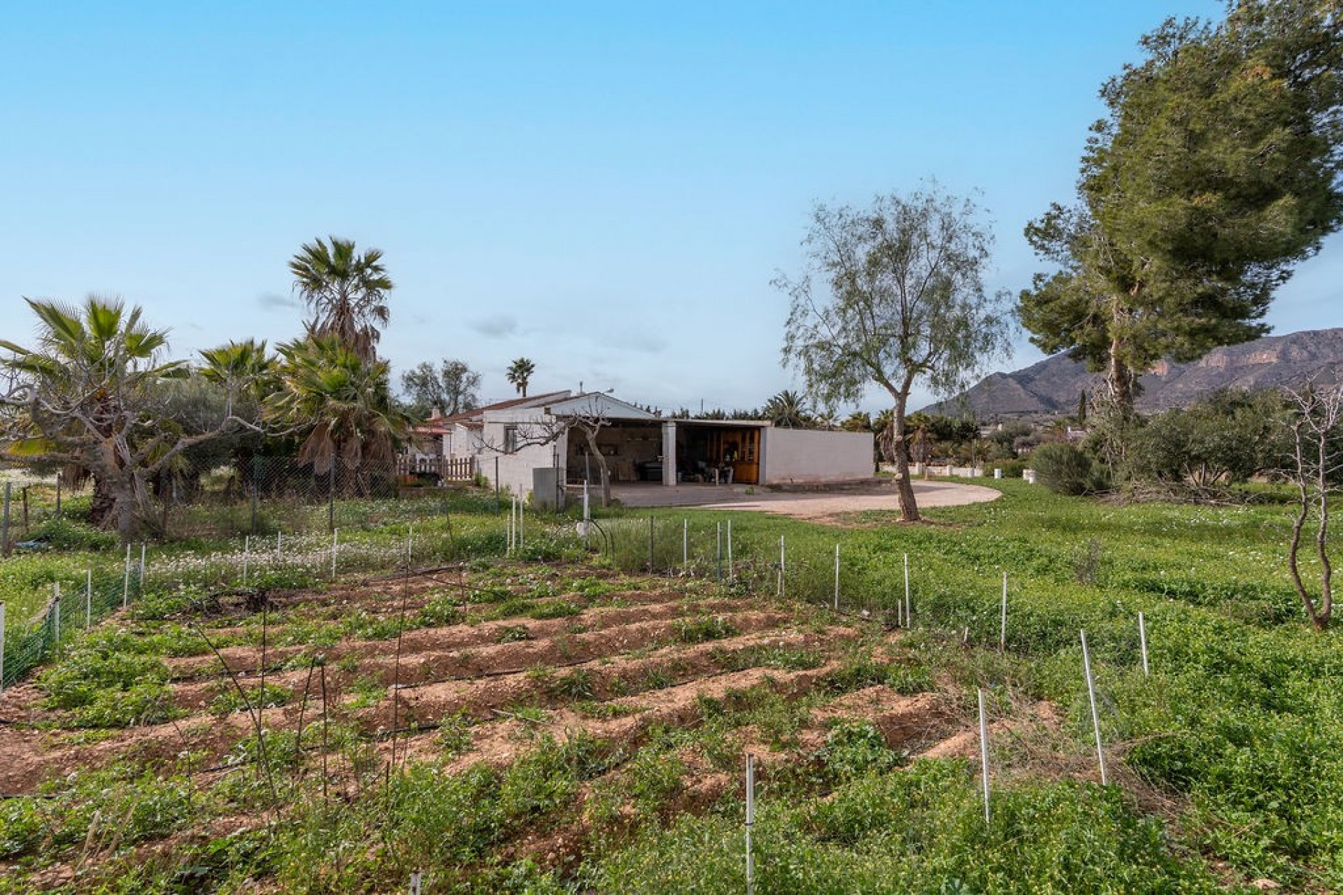 Terrace in villa for sale in Hondón de las Nieves