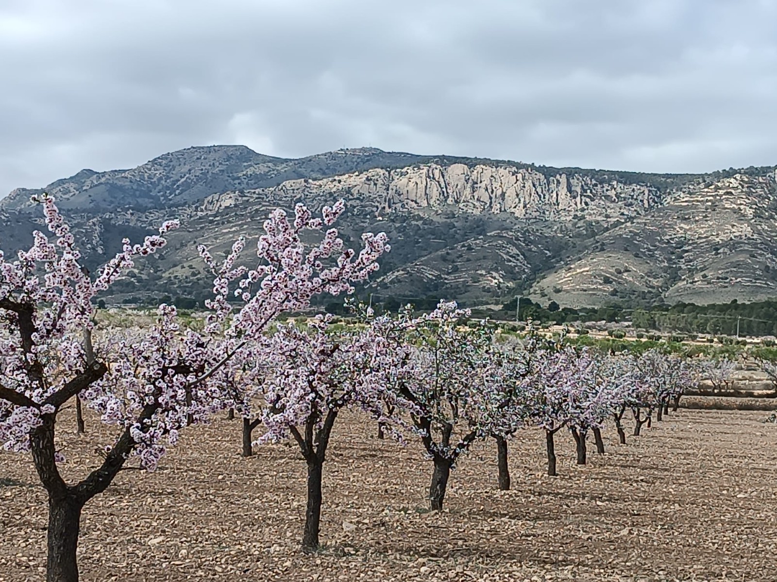Legal building plot of over 19800 m2 for sale in a picturesque valley