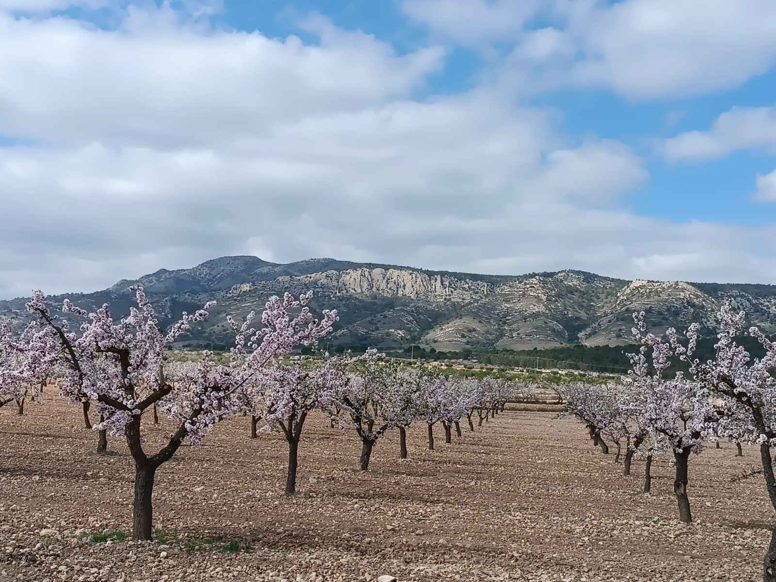 Legal building plot of over 19800 m2 for sale in a picturesque valley