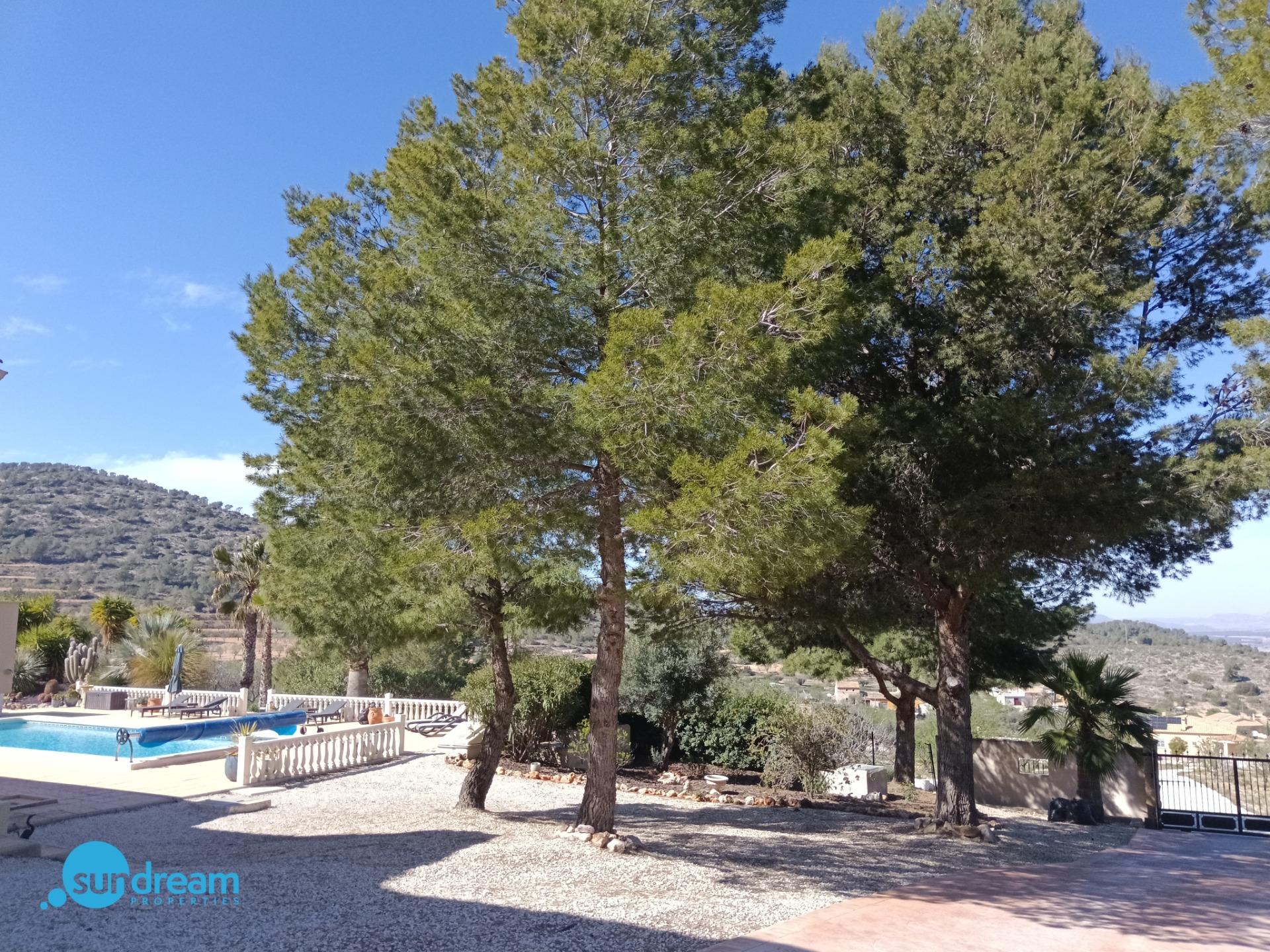 Bathroom in villa for sale in Abanilla