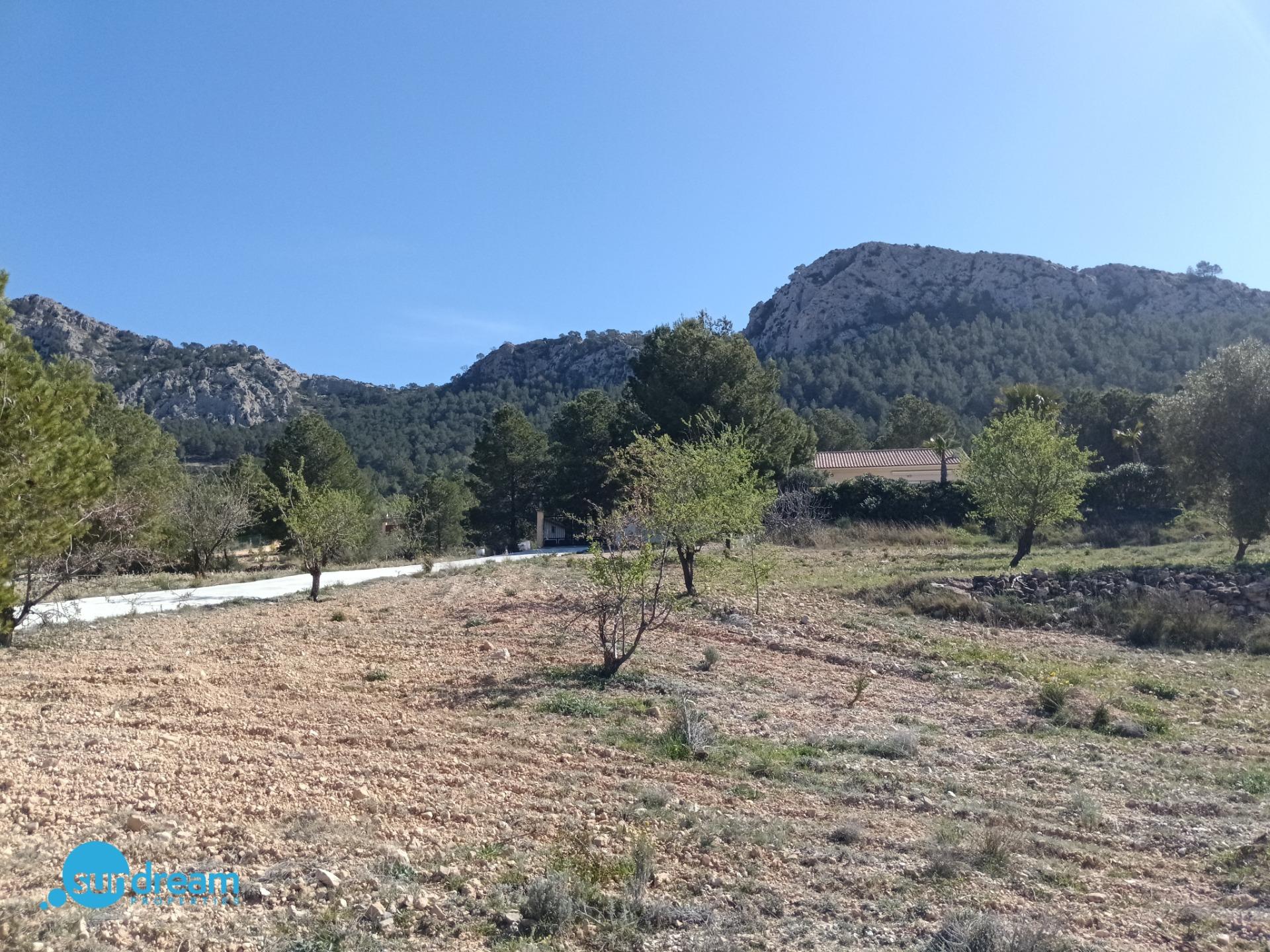 Terrace in villa for sale in Abanilla